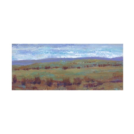 Tim OToole 'Open Land I' Canvas Art, 14x32